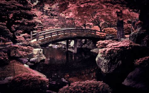Japan wallpaper | 2560x1600 | #81471