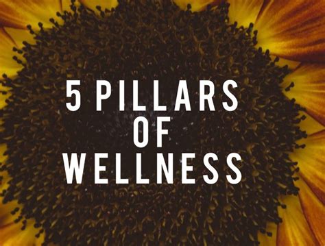 5 Pillars Of Wellness 5 Pillars Wellness Pillars