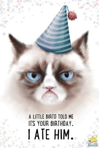 A wish for their special day | happy birthday images. A little bird told me it's your birthday. I ate him. # ...