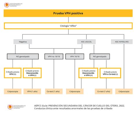 Algoritmos AEPCC Guía de Prevención CCU 2022