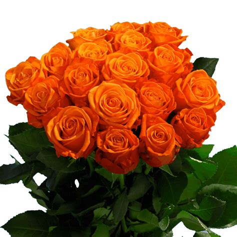50 Orange Roses Flowers Walmart Com