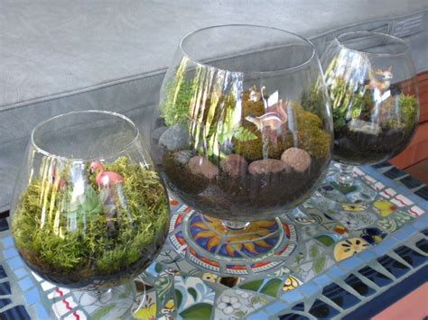 Pin On Terrarium Inspiration