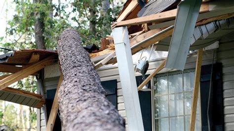 You will need to file on your auto insurance under your vehicle. Who Pays When Your Tree Falls Onto a Neighbor's Property?
