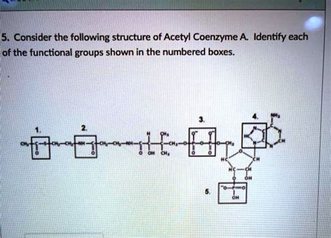 SOLVED 5 Consider The Following Structure Of Acetyl Coenzyme A