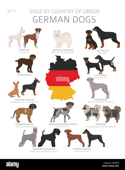 Dogs By Country Of Origin German Dog Breeds Shepherds Hunting