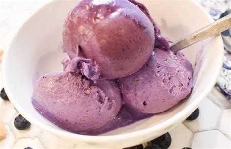 Creami Blueberry Pie Ice Cream Ketogenic Cookingpoint Net