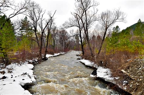 Free Images Landscape Tree Nature Forest Creek Wilderness Snow