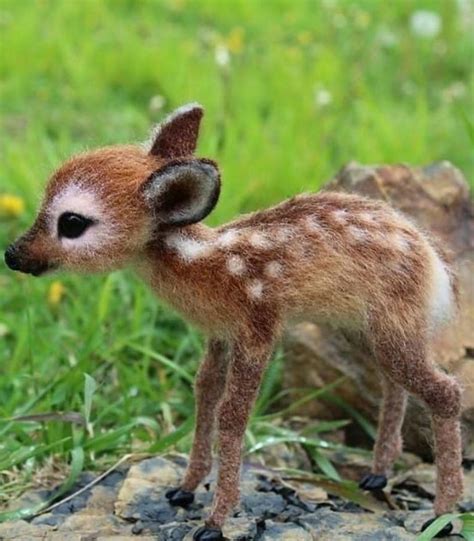The 100 Cutest Animals Of All Time Cute Little Animals
