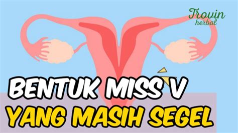 Bentuk Vagina Perawan Yang Belum Menikah Masih Sempit Dan Belum