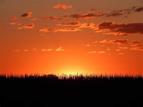 Sunset Horizon Midwest Corn American Summer Sky Nature Outdoor