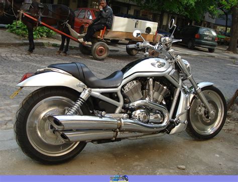 2003 Harley Davidson Vrsca V Rod Motozombdrivecom