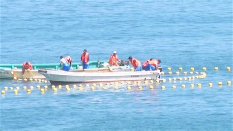 太地町で鯨の追い込み漁初漁 海と日本project In 和歌山県