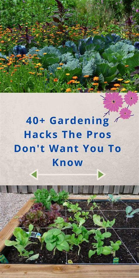 40 Incredibly Clever Gardening Hacks The Pros Dont Want You To Know