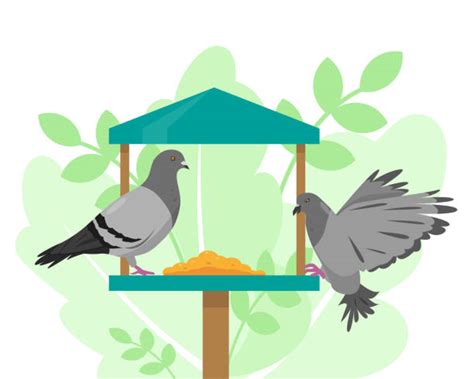 Bird Feeder Illustrationen Und Vektorgrafiken Istock