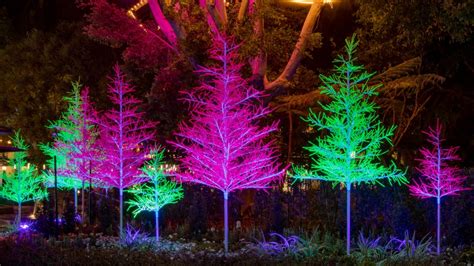 Downtown Disney Introduces New Let It Glow Trees