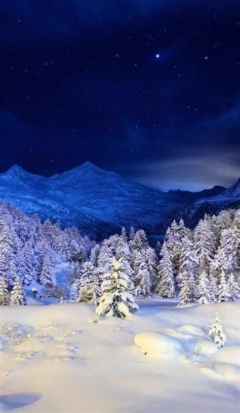 Absolutely Gorgeous Winter Landscape Winter Scenery Winter