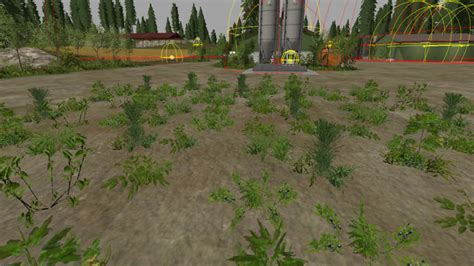 Forest Undergrowth V 10 Sp Fs17 Mod
