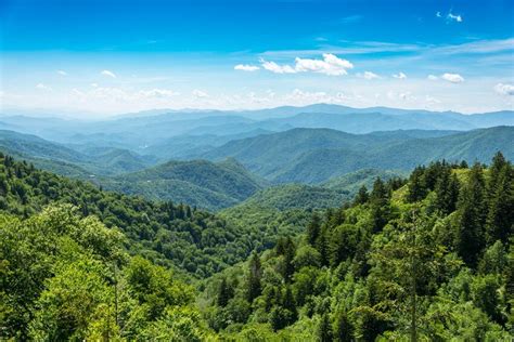 9 Things You Didnt Know About Great Smoky Mountains National Park