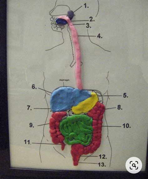 Sexto La Dehesilla Pasos Trabajo Naturales