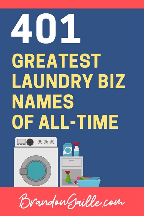 Best Catchy Laundry Business Names Laundry Business Laundry Service Business Laundromat