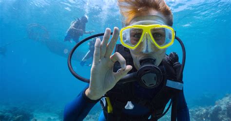 Bahamas Scuba Diving Guide To The Best Diving In The Caribbean