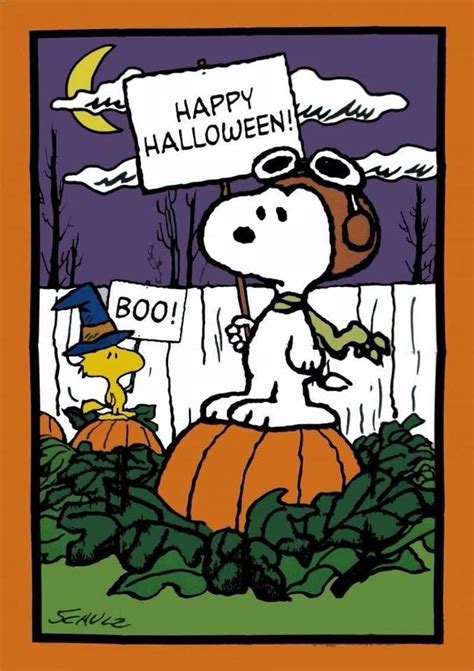 Pin By Cami Hall Nelson On Peanuts Snoopy Halloween Charlie Brown