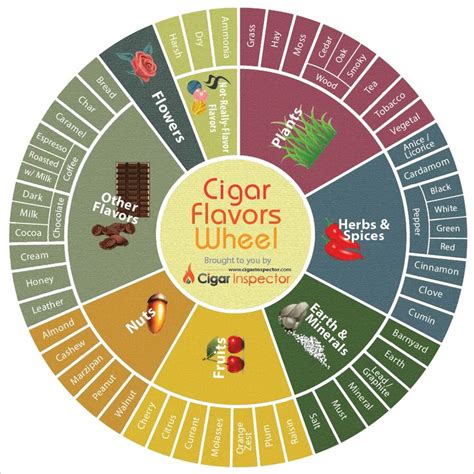 Pin On Flavor And Aroma Wheels