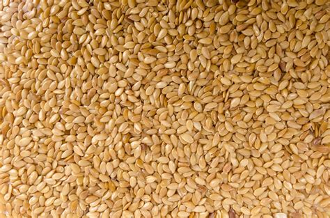 Free Images White Barley Wheat Dry Asian Spice Ingredient