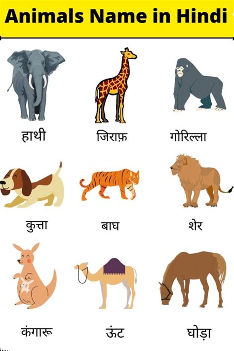 Top 131 In Hindi Animals Name