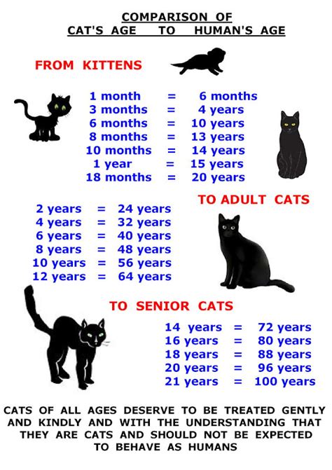It is difficult to create a chart that has exact weights because the healthy weight for a cat can vary with the size, sex, age and breed. Cat Posters - PoC