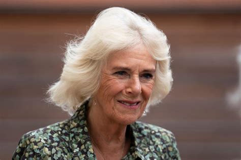 inside the pr operation to boost camilla s popularity