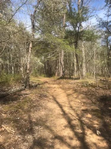 Best Hikes And Trails In Glendening Nature Preserve Alltrails