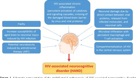 Figure 1 From The Burden Of Hiv Associated Neurocognitive Disorder