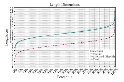 So What Is The Average Penis Length Study Reveals The Normal Manhood
