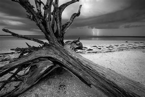 Black And White Florida Landscape Photography Fine Art Photographer