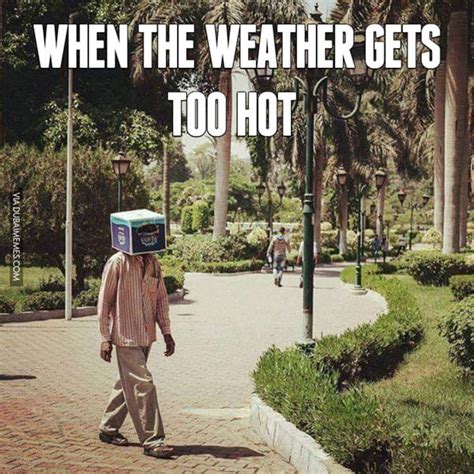 Funny Sayings For When It S Hot Outside Damn It S Hot Outside 33 Pics Sloan