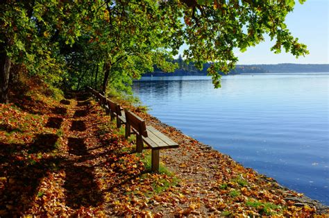 Free Images Tree Water Nature Grass Light Sunset Bench Night