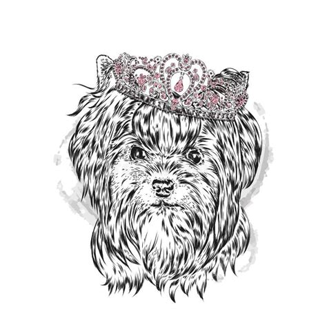 Crown Dog King Stock Illustrations 1046 Crown Dog King Stock