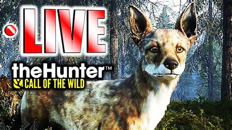 Lift your spirits with funny jokes, trending memes, entertaining gifs, inspiring stories, viral videos, and so much more. Last Stream Before I Leave for Utah! (Layton Lakes Hunt ...