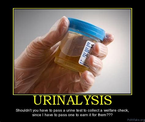 Urine Test For Government Assistance