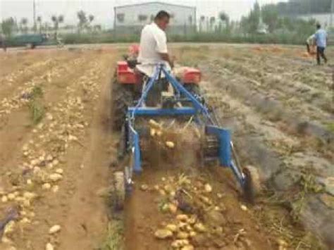 Single Row Potato Harvester Harvesting Machine For Sale