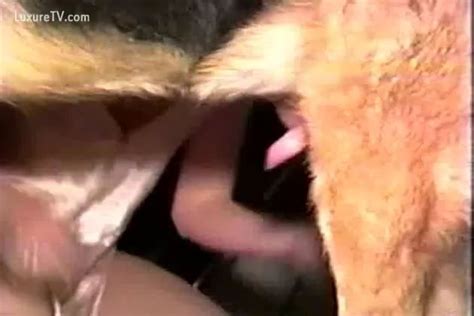 Adopta Un Perro Para Chuparle La Verga Porno Bizarro Sexo Extremo Videos XXX Brutales