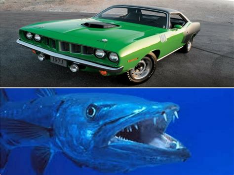 17 Iconic Cars Matched With Photos Of The Animals They Are Named After