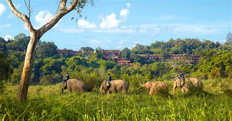 We did not find results for: Anantara Golden Triangle Elephant Camp & Resort in Chiang ...