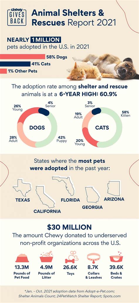 Animal Shelter Numbers Nearly 1 Million Pets Adopted In 2021 Bechewy