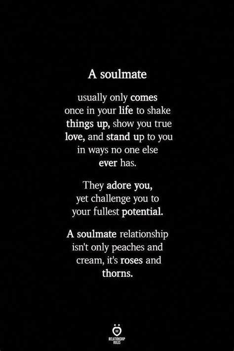 A Soulmate Usually Only Comes Once In Your Life To Shake Things Up