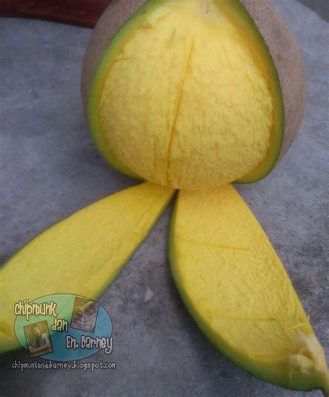 Secara penampakan, buah jamblang terlihat mirip seperti buah anggur namun bentuknya lebih lonjong daripada buah anggur. All About Life: Buah Embang atau Bambangan
