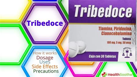 Tribedoce Comprehensive Overview
