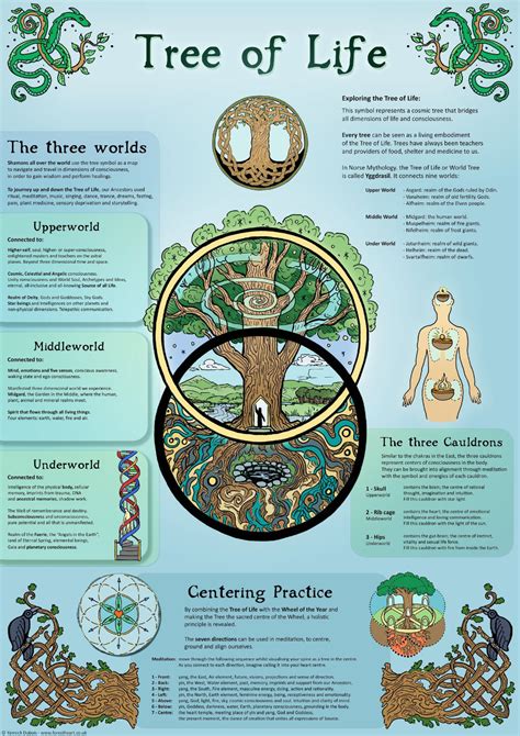 Tree of Life ecofriendly A3 Print Wall Art Poster | Etsy | Tree of life ...