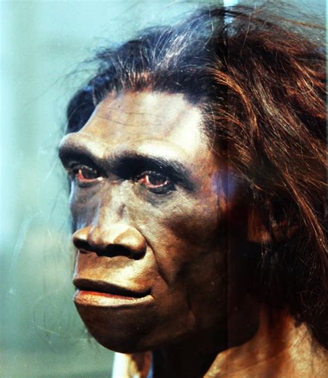 Dna Reveals Mysterious Unknown Species Bred With Early Humans